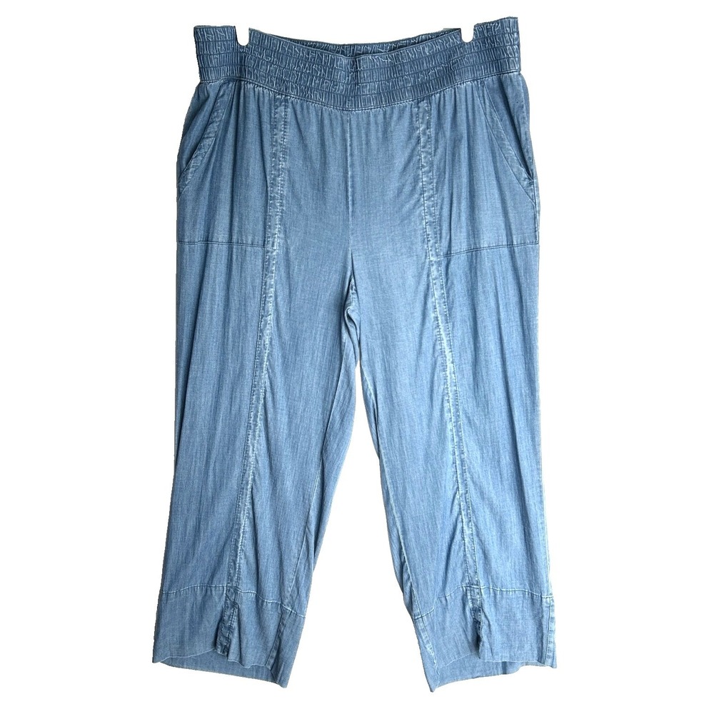 Anybody Lyocell Denim Pull On Pants Womens 2X Elastic Waist Stretch Jeans Plus